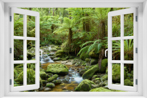 Fototapeta Naklejka Na Ścianę Okno 3D - Regenwald, Oparara Basin, Kahurangi Nationalpark, West Coast, Südinsel, Neuseeland, Ozeanien