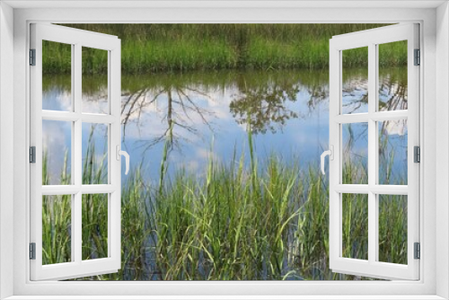 Fototapeta Naklejka Na Ścianę Okno 3D - Beautiful view on rivers and marshes in North Florida nature