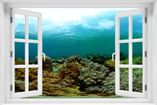 Fototapeta Naklejka Na Ścianę Okno 3D - Beautiful corals under water life. Tropical fishes and coral reefs. Virtual Reality 360.