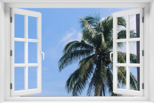 Fototapeta Naklejka Na Ścianę Okno 3D - blue sky and coconut trees bearing fruit