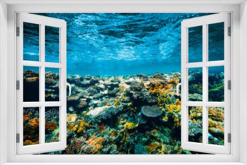 Fototapeta Naklejka Na Ścianę Okno 3D - a Underwater coral reef on the red sea