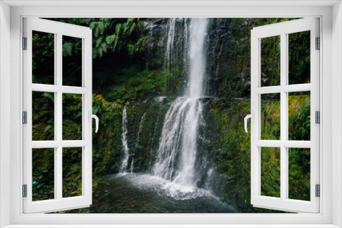 Fototapeta Naklejka Na Ścianę Okno 3D - Landscapes of laurel forest on the route in Madeira called Levada do Caldeirão Verde