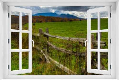 Fototapeta Naklejka Na Ścianę Okno 3D - Fence in a farm field and view of Grandfather Mountain along the