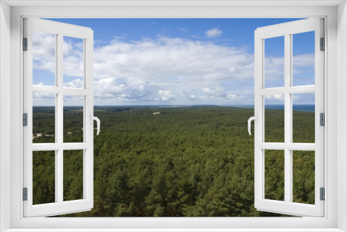 Fototapeta Naklejka Na Ścianę Okno 3D - Coniferous forest