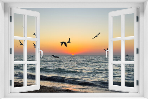 Fototapeta Naklejka Na Ścianę Okno 3D - Pelikane und Möwen jagen am Meer bei Sonnenuntergang
