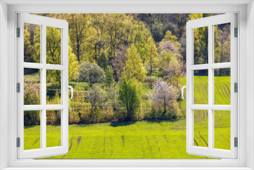 Fototapeta Naklejka Na Ścianę Okno 3D - New sown field in the countryside at spring