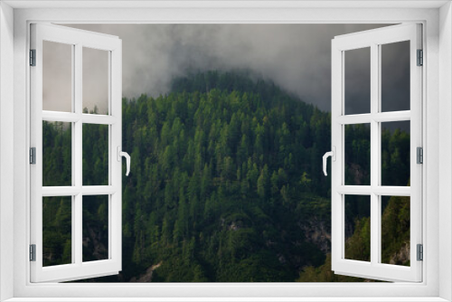 Fototapeta Naklejka Na Ścianę Okno 3D - Ein grüner Nadelwald auf einem Fels an einem Berghang am frühen Morgen mit Nebelschwaden über der oberen Waldregion