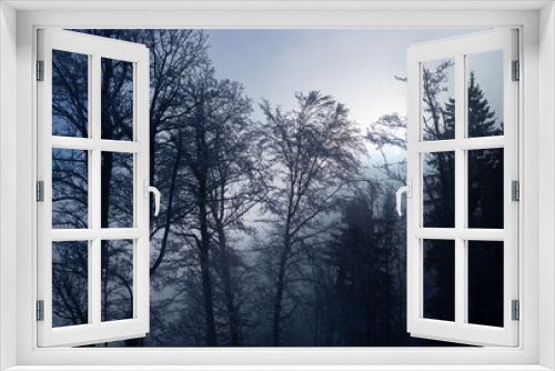 Fototapeta Naklejka Na Ścianę Okno 3D - eindrückliche Winterlandschaft, Nebel und Sonne im Gegenlicht, Baumstrukturen
