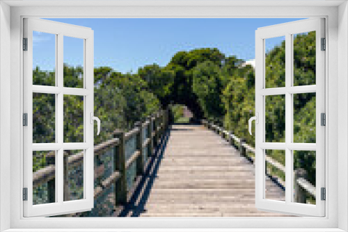 Fototapeta Naklejka Na Ścianę Okno 3D - wooden pedestrian bridge with railings, path surrounded by green foliage of trees and bushes. Walkway to the Ocean, South Africa. Summer day, blue sky, nobody