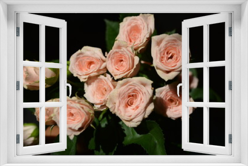Fototapeta Naklejka Na Ścianę Okno 3D - Elegant yellow pink small roses with green leaves, natural fresh chic rose pink cream color on black background.