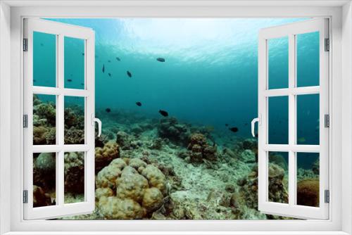 Fototapeta Naklejka Na Ścianę Okno 3D - Coral garden and tropical sea life. Coral reef and fish underwater world.