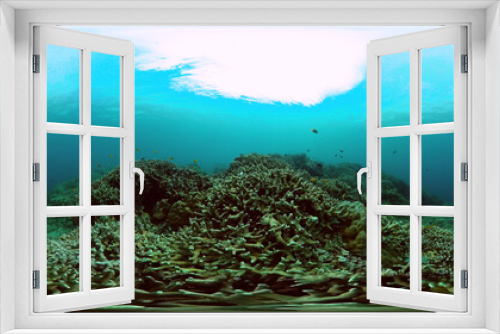 Fototapeta Naklejka Na Ścianę Okno 3D - Marine life sea world. Tropical coral reef and fish underwater. 360-Degree view.