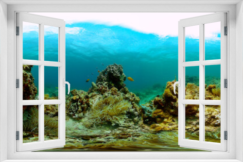 Fototapeta Naklejka Na Ścianę Okno 3D - Fish and coral reefs under the sea. Coral underwater landscape. Monoscopic image.