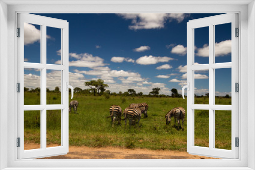 Fototapeta Naklejka Na Ścianę Okno 3D - Zebra Savanne