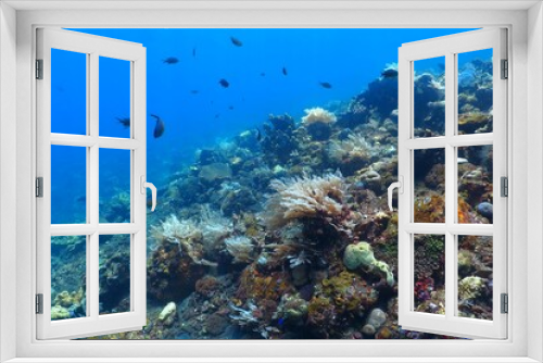 Fototapeta Naklejka Na Ścianę Okno 3D - Fish and corals, vivid tropical reef in the blue ocean. Scuba diving with the marine life, underwater photography. Wildlife in the sea, travel picture. Water and coral.