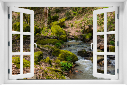 Fototapeta Naklejka Na Ścianę Okno 3D - green trees, rocks and scenic mountain spring in spring forest in Yalova mountains near Termal, Turkey