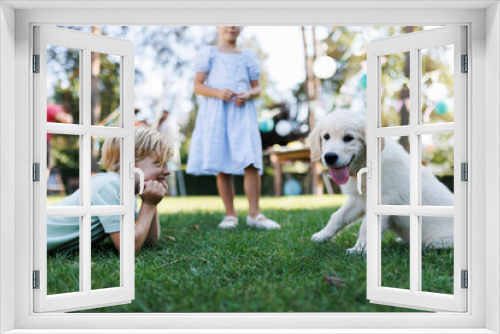 Fototapeta Naklejka Na Ścianę Okno 3D - Children playing with a small puppy at family garden party. Portrait of little boy lying on grass looking at Golden retriever puppy.