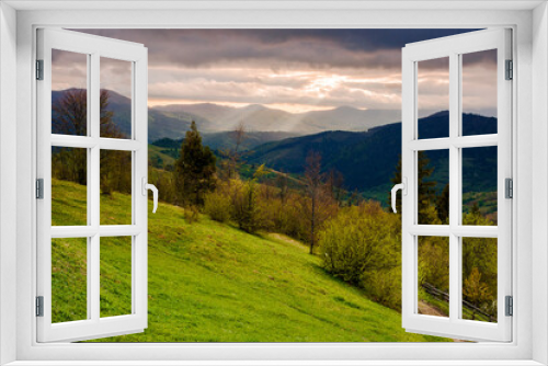 Fototapeta Naklejka Na Ścianę Okno 3D - mountainous rural landscape of ukraine at sunset in spring. trees on the grassy hills rolling in to the distant valley. beautiful countryside scenery on a cloudy weather in may