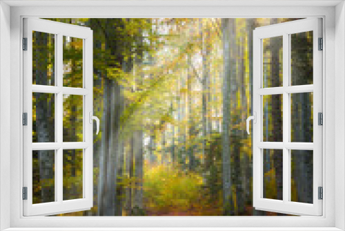 Fototapeta Naklejka Na Ścianę Okno 3D - Beautiful light in the forest during fall