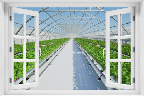 Fototapeta Naklejka Na Ścianę Okno 3D - Strawberries plant in the greenhouse, 3d render 