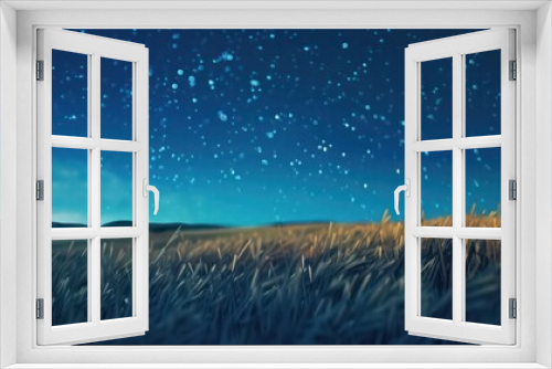view of the starry night sky through a rye field