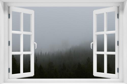 Fototapeta Naklejka Na Ścianę Okno 3D - fogy forest