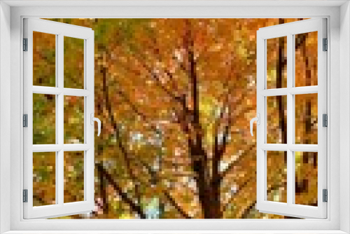 Fototapeta Naklejka Na Ścianę Okno 3D - autumn tree in the park
