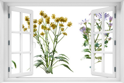 Fototapeta Naklejka Na Ścianę Okno 3D - Set of colorful wild flowers with isolated on transparent background. PNG file, 3D rendering illustration, Clip art and cut out