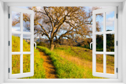 Fototapeta Naklejka Na Ścianę Okno 3D - Views mountains, hills, rivers, lush grass and foliage, while hiking during the spring in Malibu Creek State Park.