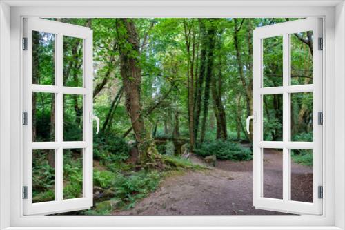 Fototapeta Naklejka Na Ścianę Okno 3D - Embark on a journey through nature's canvas, where a winding walking trail in the Dublin Mountains invites wanderers to discover the hidden beauty of Massys Estate.
