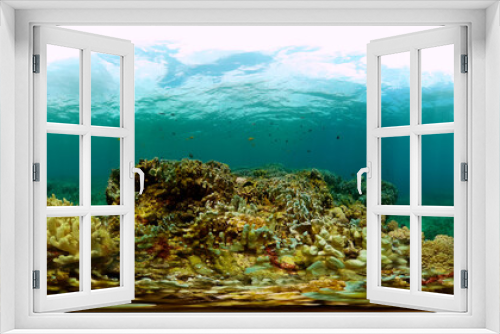 Fototapeta Naklejka Na Ścianę Okno 3D - Coral reef and fish underwater. Marine protected area. Monoscopic image.