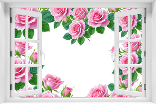Fototapeta Naklejka Na Ścianę Okno 3D - beautiful pink roses in full bloom, with soft petals and green leaves isolated on whitebackground