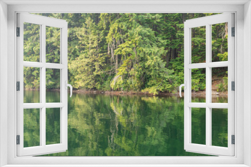 Fototapeta Naklejka Na Ścianę Okno 3D - Green forest by the lake in reflection in the water beauty in nature