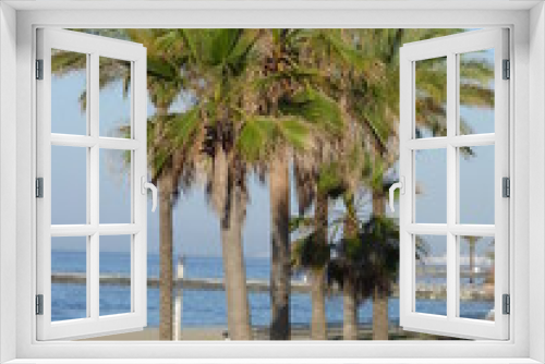 Fototapeta Naklejka Na Ścianę Okno 3D - Palmiers en Andalousie