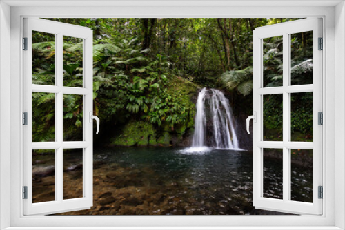 Fototapeta Naklejka Na Ścianę Okno 3D - Pure nature, a waterfall with a pool in the forest. The Ecrevisses waterfalls,
Cascade aux écrevisses on Guadeloupe, in the Caribbean. French Antilles, France