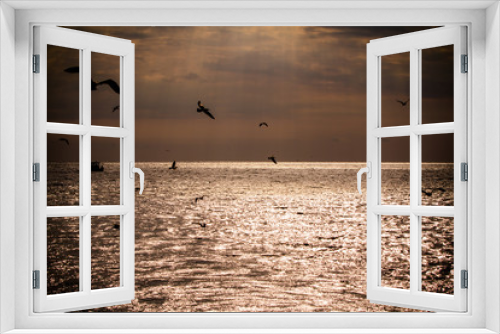 Fototapeta Naklejka Na Ścianę Okno 3D - Silhouette of Seagulls