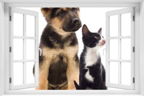 Fototapeta Naklejka Na Ścianę Okno 3D - kitten and puppy