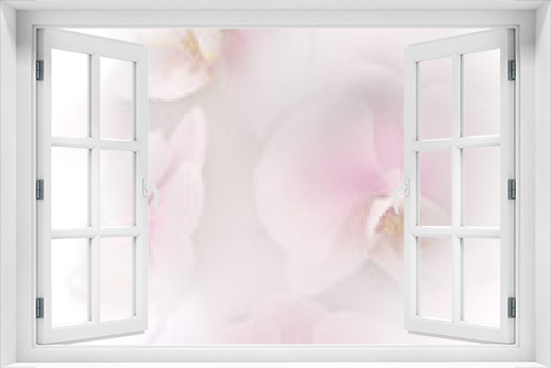 Fototapeta Naklejka Na Ścianę Okno 3D - flower background