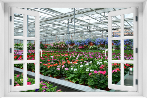 Fototapeta Naklejka Na Ścianę Okno 3D - Greenhouse