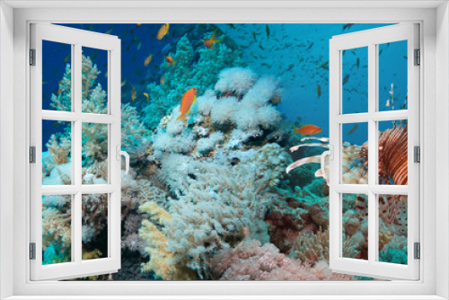 Fototapeta Naklejka Na Ścianę Okno 3D - Lionfish on the coral reef underwater
