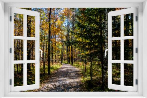 Fototapeta Naklejka Na Ścianę Okno 3D - A walking path in the autumn forest.
