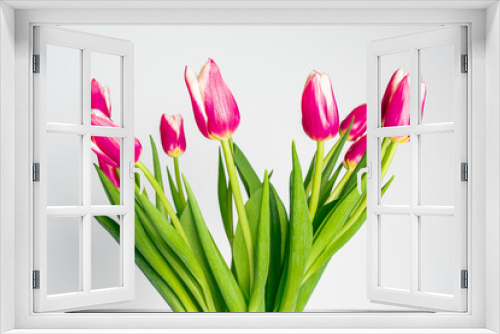 Fototapeta Naklejka Na Ścianę Okno 3D - Pink tulips in vase on white background