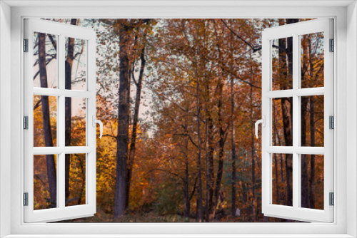 Fototapeta Naklejka Na Ścianę Okno 3D - trees changing colors in the park in autumn