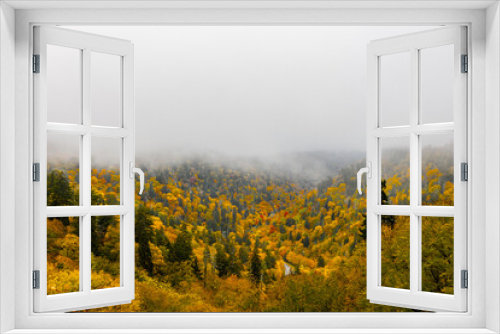 Fototapeta Naklejka Na Ścianę Okno 3D - Beautiful autumn scenery at Great Smoky Mountains National Park.