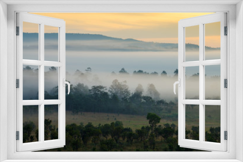 Fototapeta Naklejka Na Ścianę Okno 3D - misty morning sunrise in forest at Thung Salang Luang National P