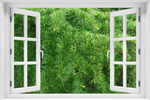 Fototapeta Naklejka Na Ścianę Okno 3D - Green background