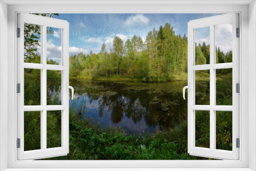 Fototapeta Naklejka Na Ścianę Okno 3D - pond forest summer water trees