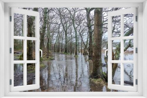 Fototapeta Naklejka Na Ścianę Okno 3D - flooded  footpath in the River Hamble country park Hampshire England at high tide