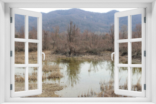 Fototapeta Naklejka Na Ścianę Okno 3D - Wetlands in the forest. Abkhazia.