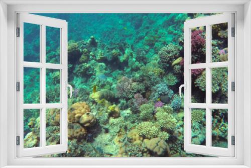 Fototapeta Naklejka Na Ścianę Okno 3D - colorful fish. amazing coral reef